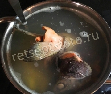 Уха из головы горбуши с водкой