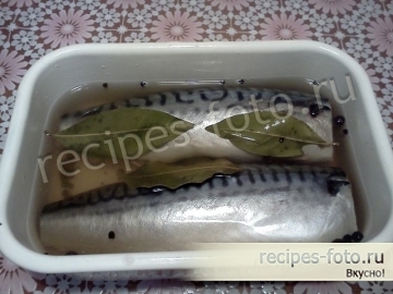 Вкусная соленая скумбрия в домашних условиях
