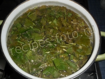 Зеленые щи из щавеля с яйцом и свининой