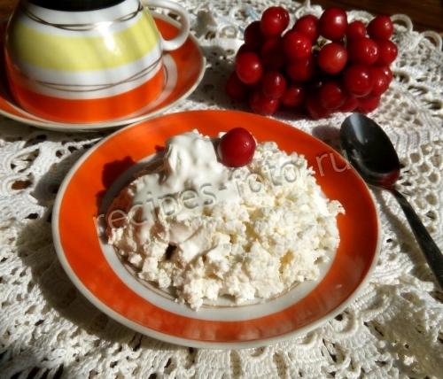 Домашний творог из молока