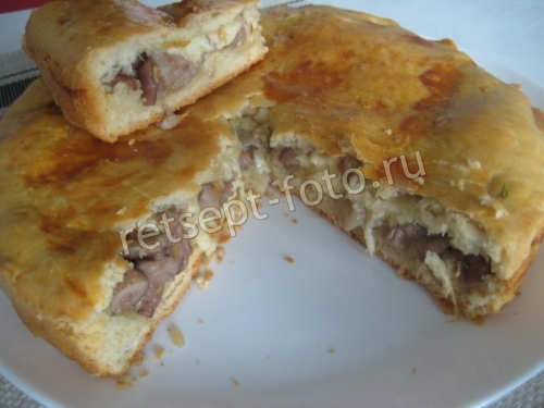 Дрожжевой пирог с лесными грибами и сыром