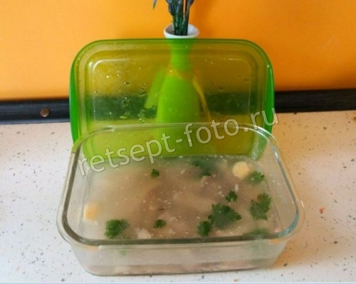 Холодец из свинины, курицы и утки без желатина