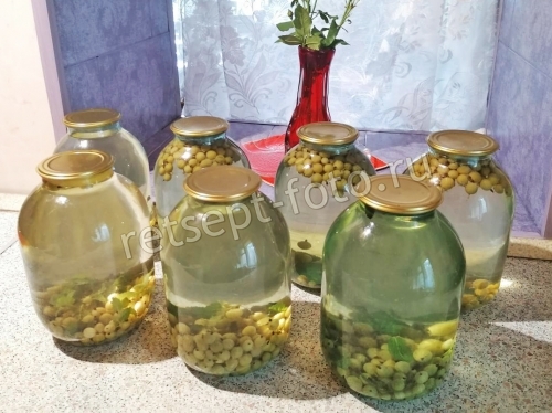Компот из крыжовника, мяты и лимона на зиму