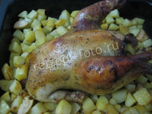 Курица с яблоками и картошкой в духовке