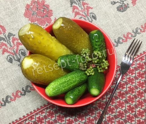Квашеные хрустящие огурцы на зиму