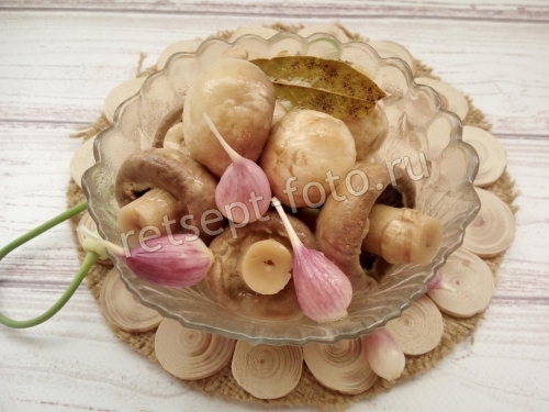 Маринованные грибы быстрого приготовления