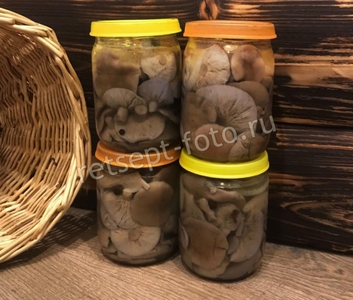 Маринованные рядовки с луком и корицей