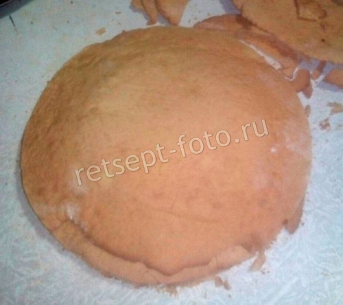 Медовые коржи для торта