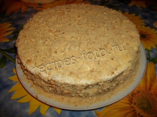 Торт без выпечки с творожным кремом и фруктами