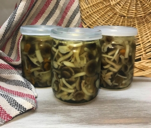 Грибы маринованные с чесноком без стерилизации 