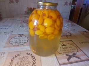 Компот ассорти из абрикосов и крыжовника на зиму 