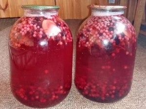 Компот ассорти со сливами, красной и черной смородиной на зиму 