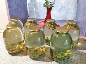 Компот из крыжовника, мяты и лимона на зиму 