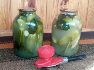 Квашеные огурцы на зиму в банках (без уксуса) 