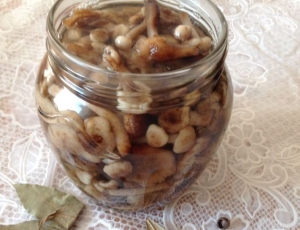 Маринованные опята на зиму 