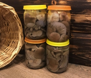 Маринованные рядовки с луком и корицей 