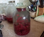 Компот из красной смородины на зиму 