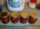 Лечо из огурцов с томатным соком на зиму 